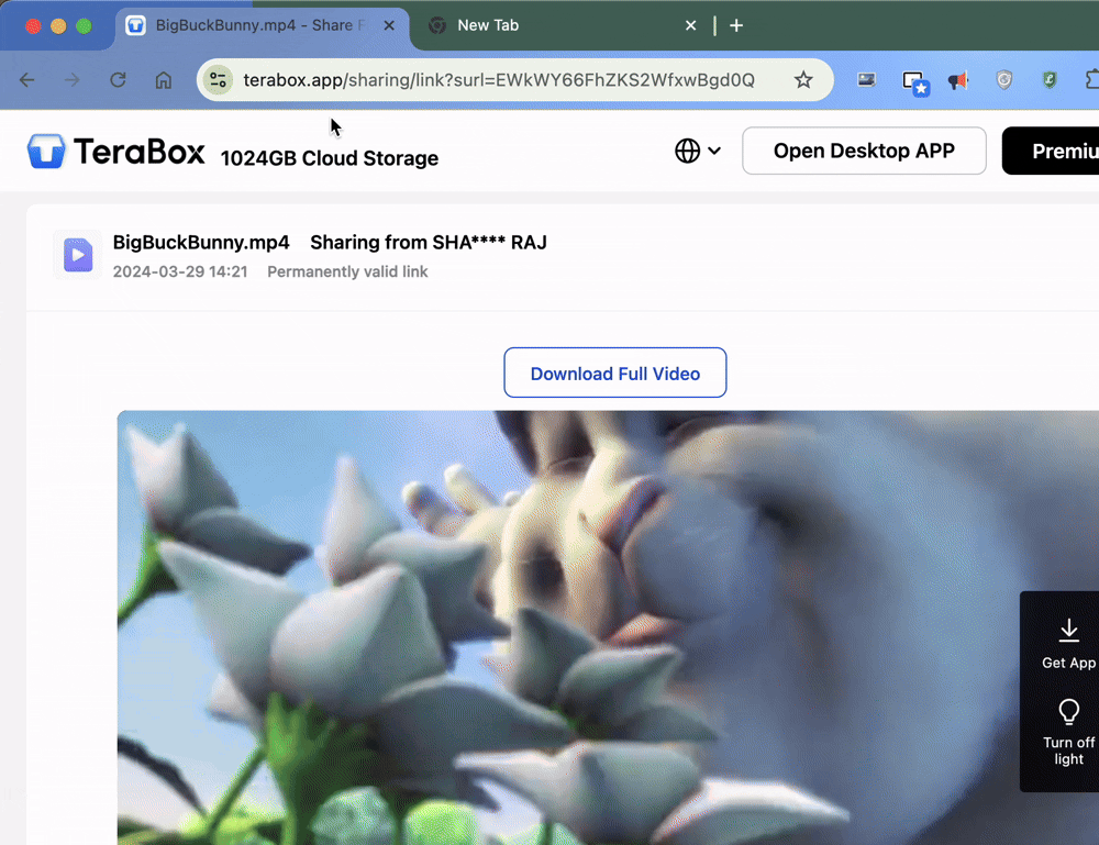 TeraBox Preview